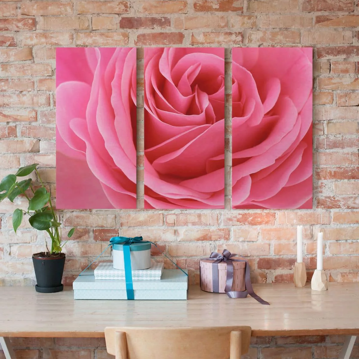 3-teiliges Leinwandbild Blumen - Querformat Lustful Pink Rose günstig online kaufen