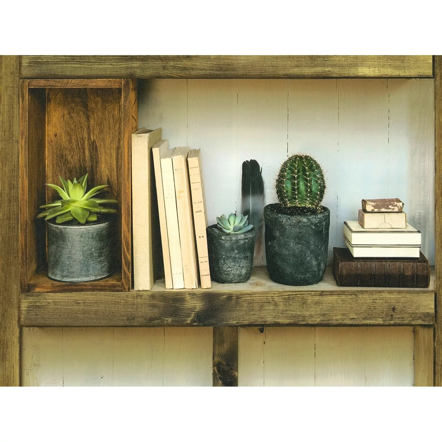 Bricoflor Vintage Tapete mit Bücherregal in Braun und Grün Kaktus Tapete im günstig online kaufen