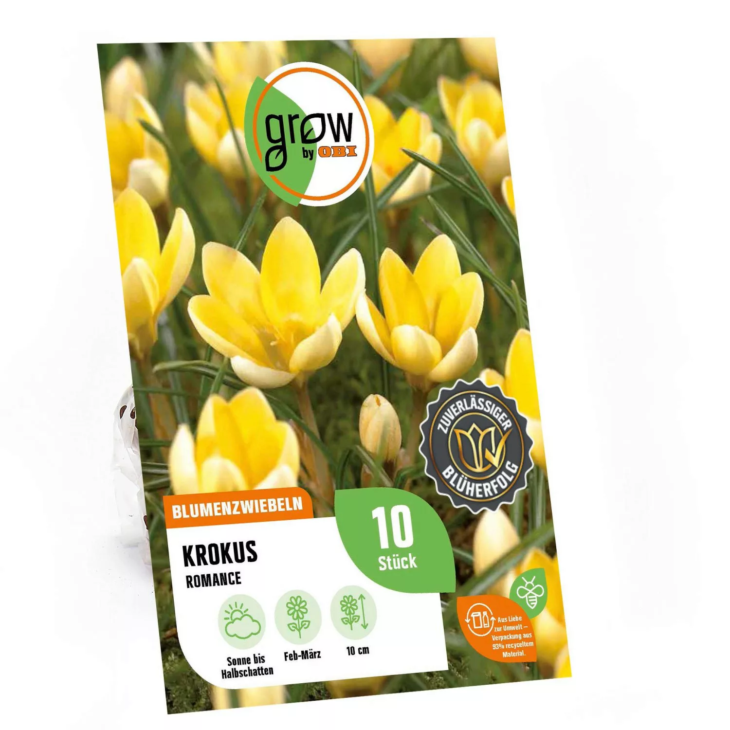 GROW by OBI Krokus Romance Gelb 10 cm Crocus chrysanthus günstig online kaufen