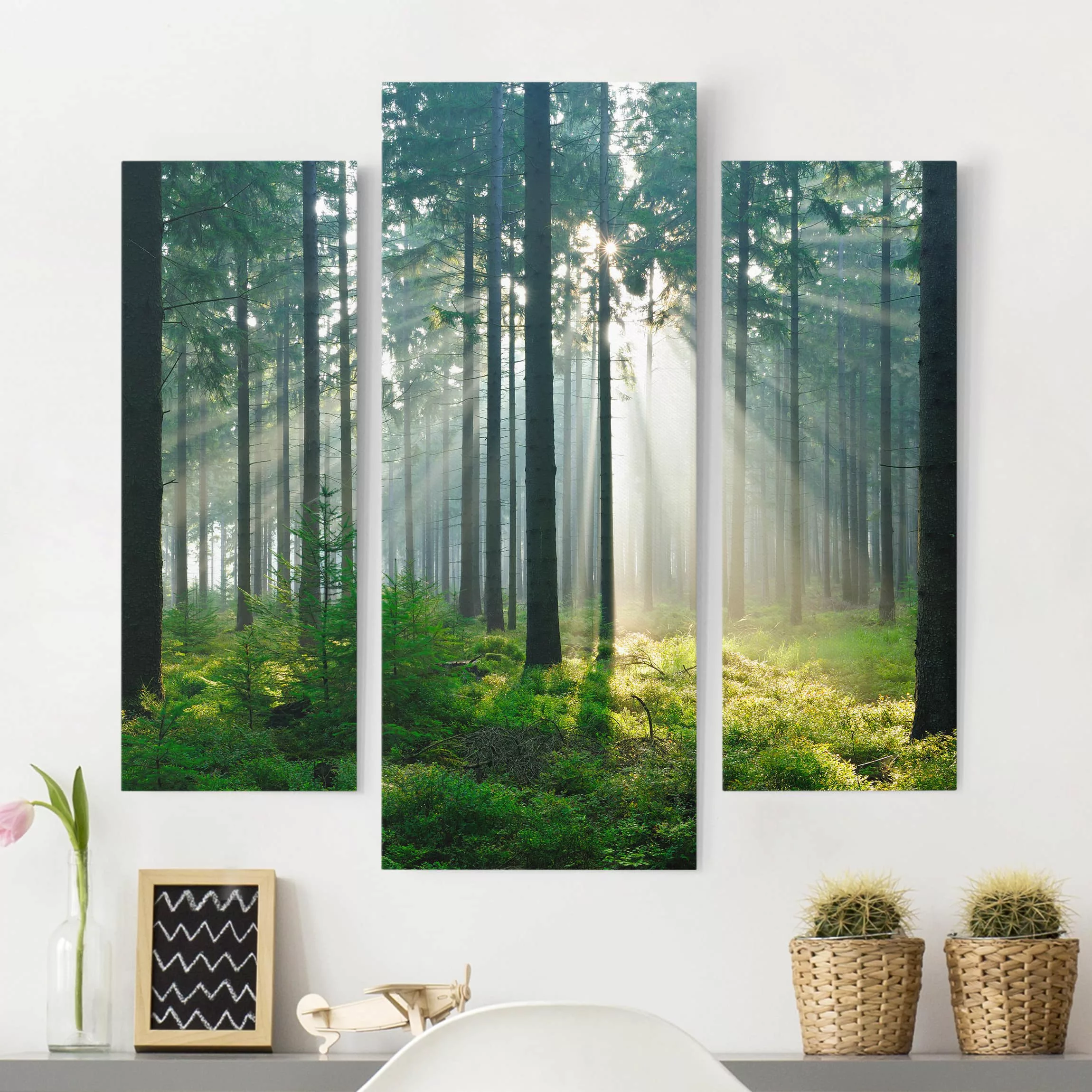3-teiliges Leinwandbild Wald - Querformat Enlightened Forest günstig online kaufen