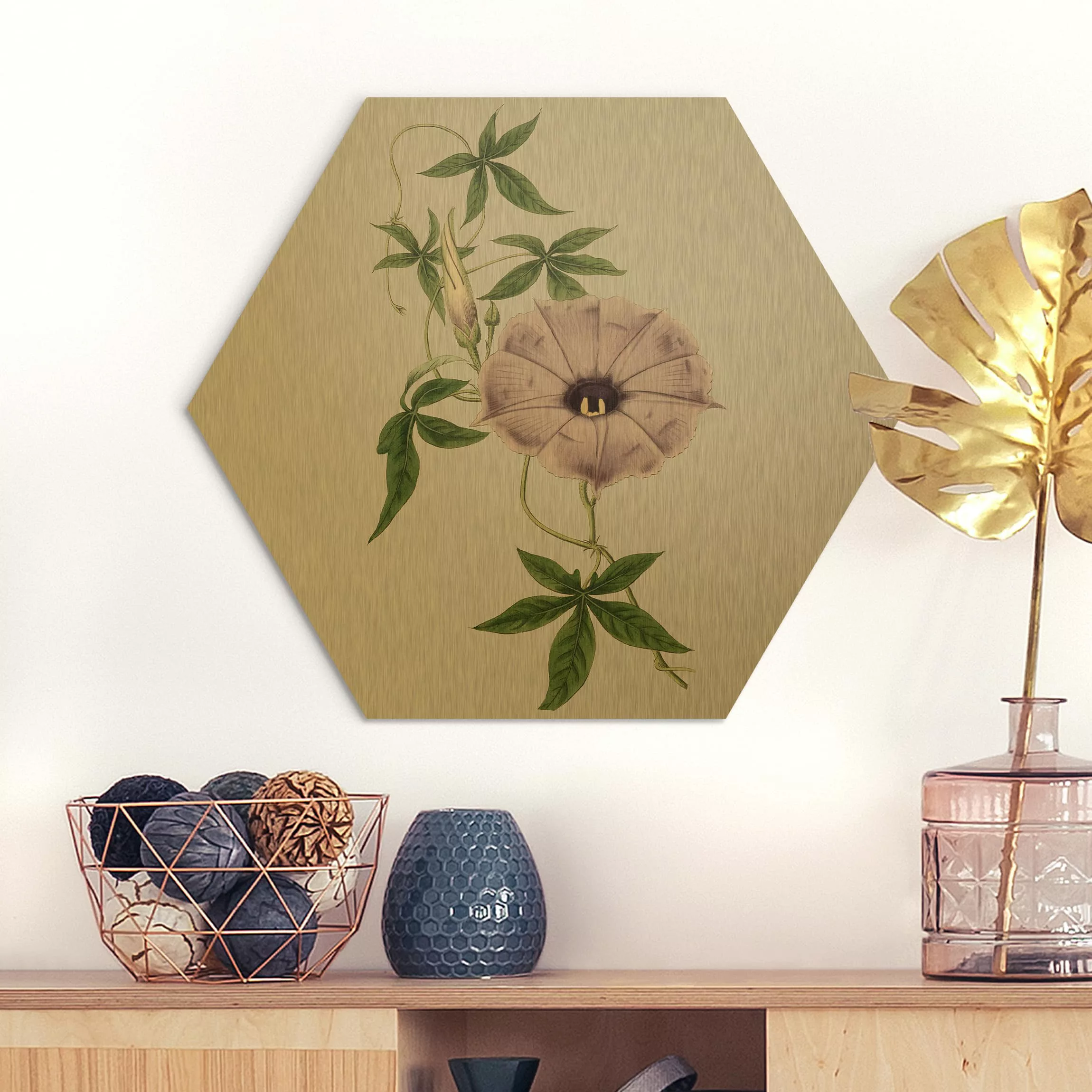 Hexagon-Alu-Dibond Bild Blumen Florale Schmuckstücke IV günstig online kaufen