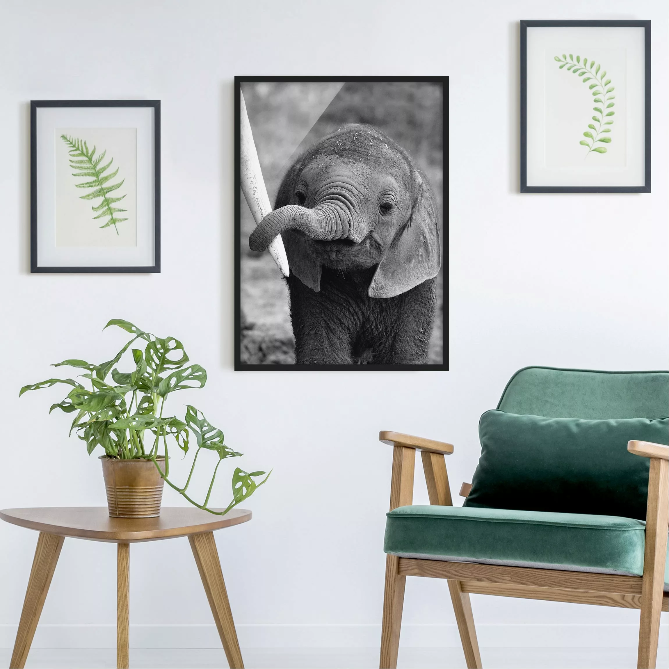 Bild mit Rahmen Kinderzimmer - Hochformat Elefantenbaby günstig online kaufen