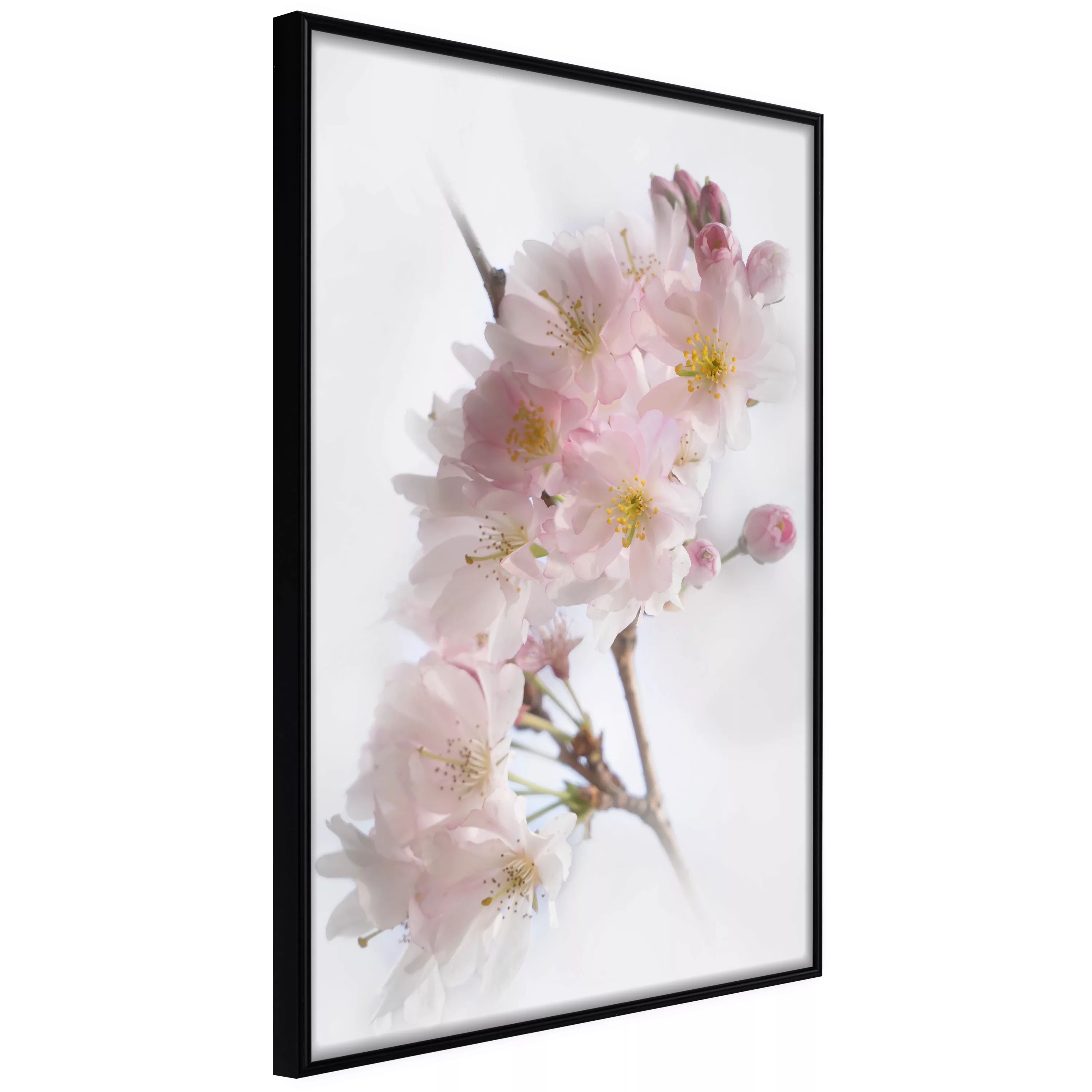 Poster - Scent Of Spring günstig online kaufen