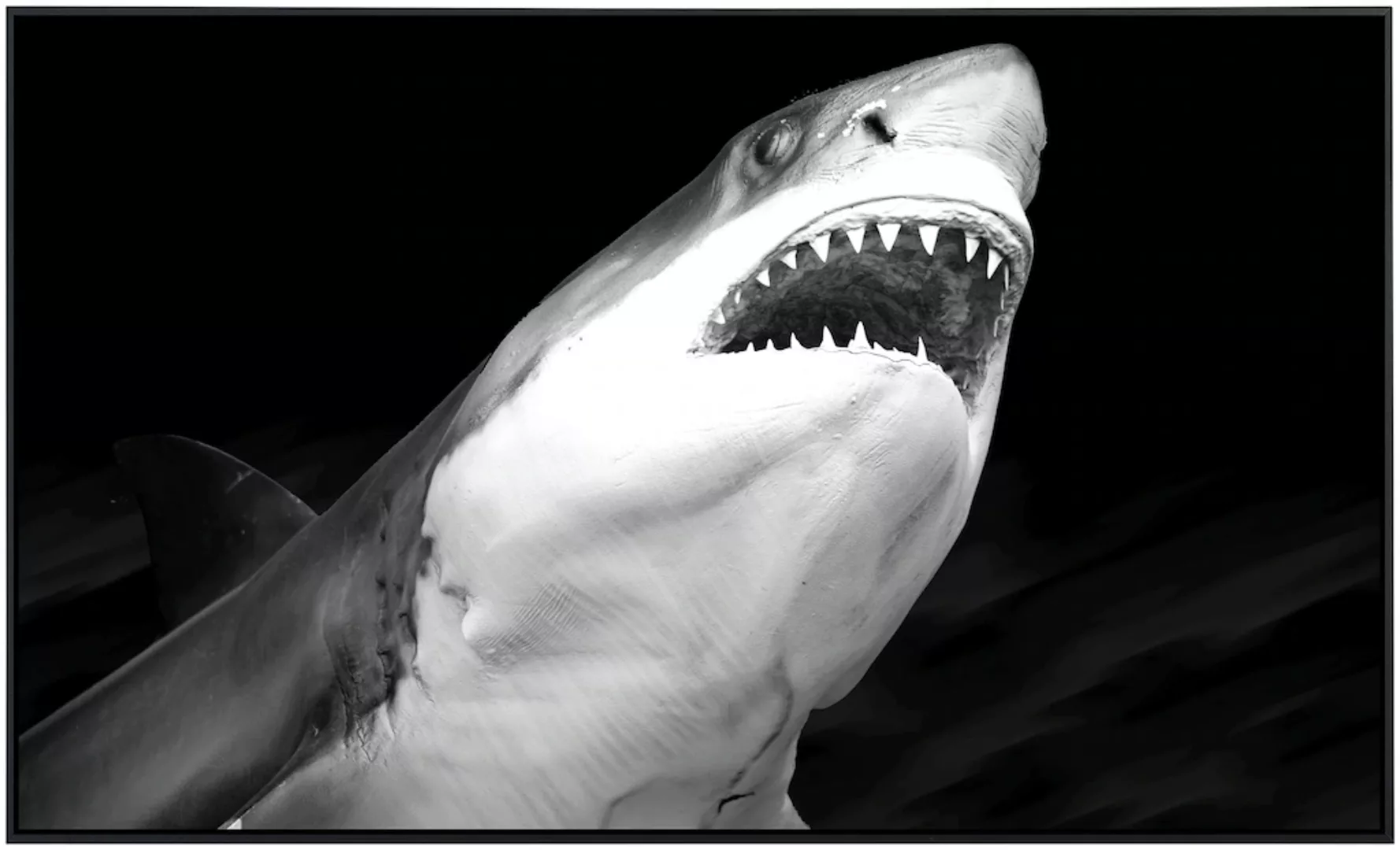 Papermoon Infrarotheizung »Haifisch Schwarz & Weiß« günstig online kaufen