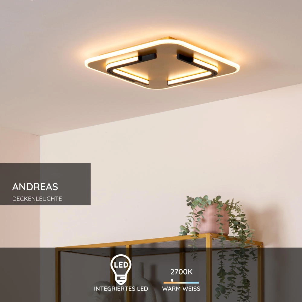 LED-Deckenleuchte Andreas, eckig, 40 cm x 40 cm, gold matt günstig online kaufen