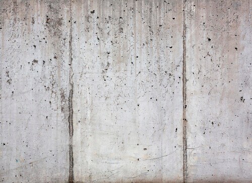 living walls Fototapete »Beton«, Fototapete Floral Grau weiß 3,50 m x 2,55 günstig online kaufen