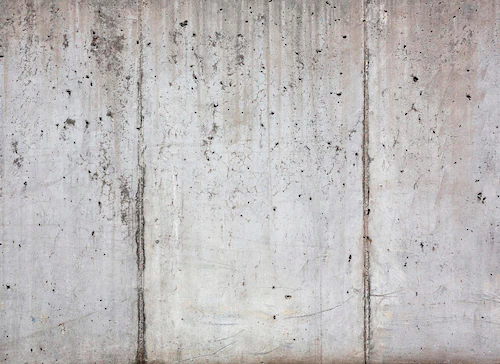 living walls Fototapete »Beton«, Fototapete Floral Grau weiß 3,50 m x 2,55 günstig online kaufen