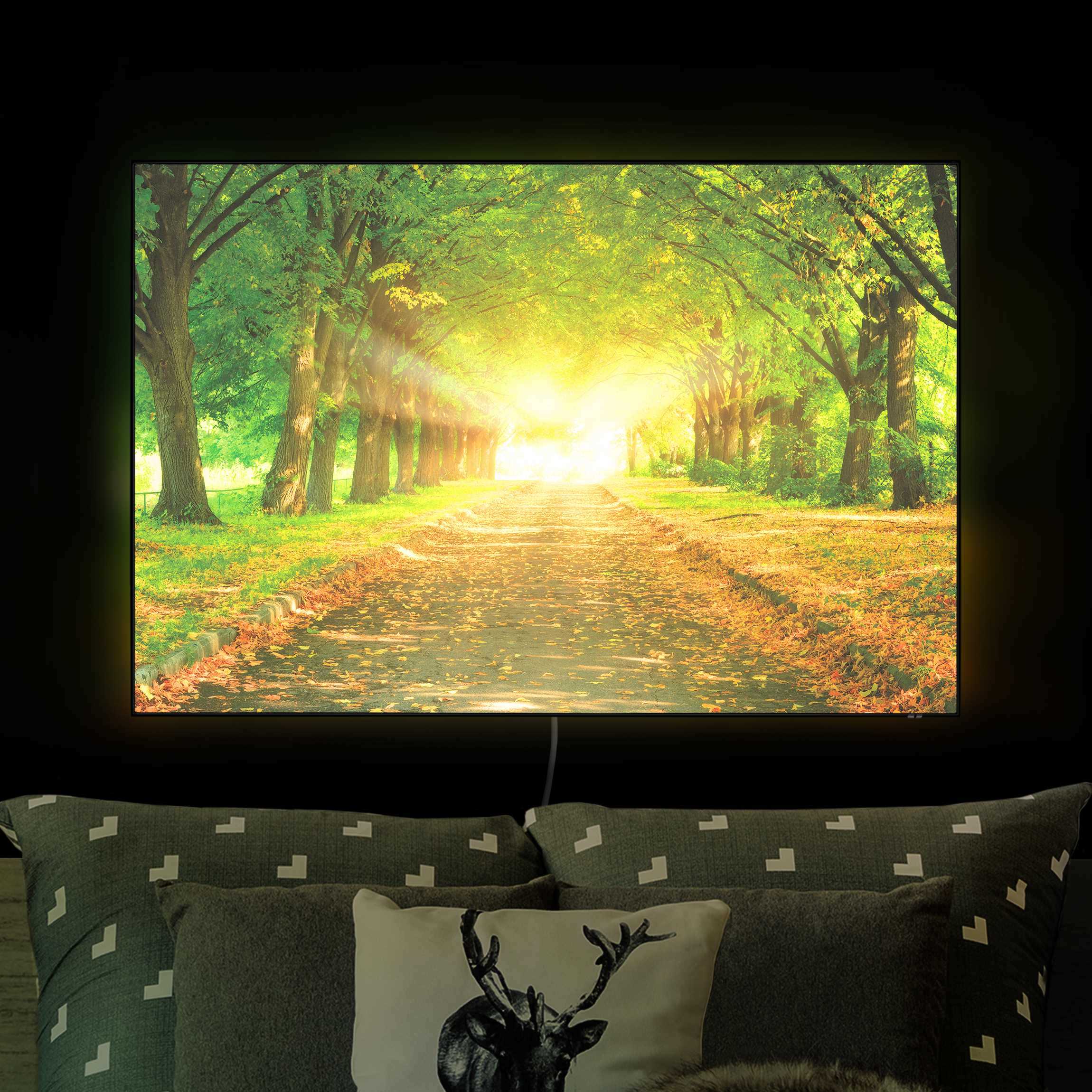 LED-Wechselbild Autumn Avenue günstig online kaufen