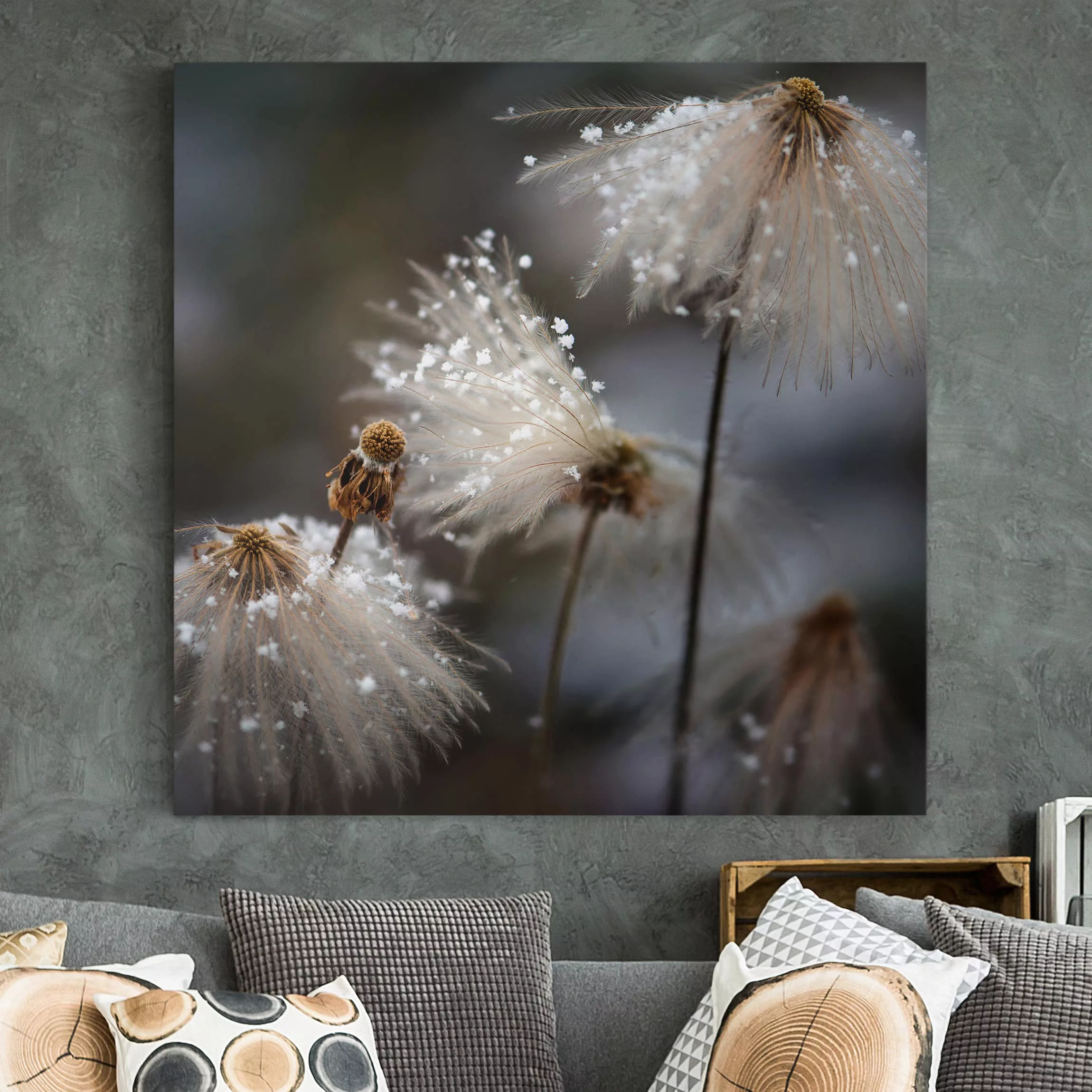 Leinwandbild Blumen - Quadrat Pusteblumen mit Schneeflocken günstig online kaufen