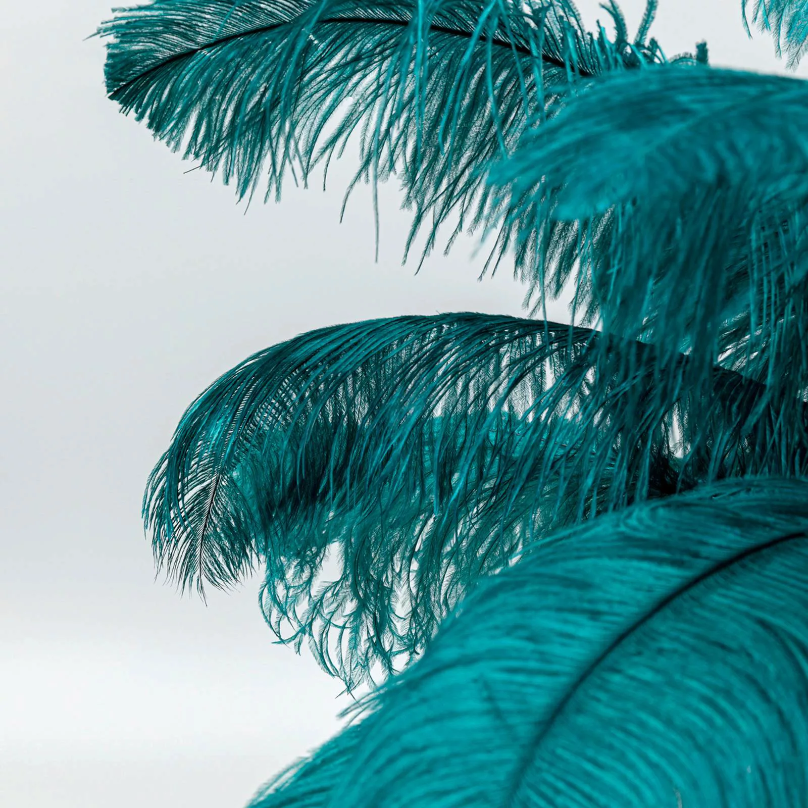 KARE Feather Palm Tischleuchte mit Federn, grün günstig online kaufen
