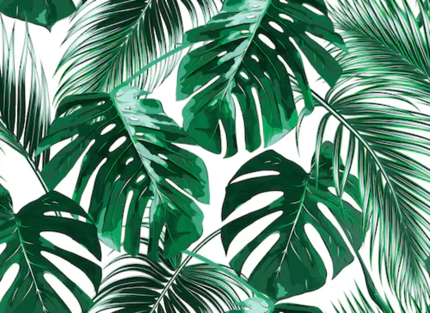 Fototapete Palmen Blätter Grün Weiß 3,50 m x 2,55 m FSC® günstig online kaufen