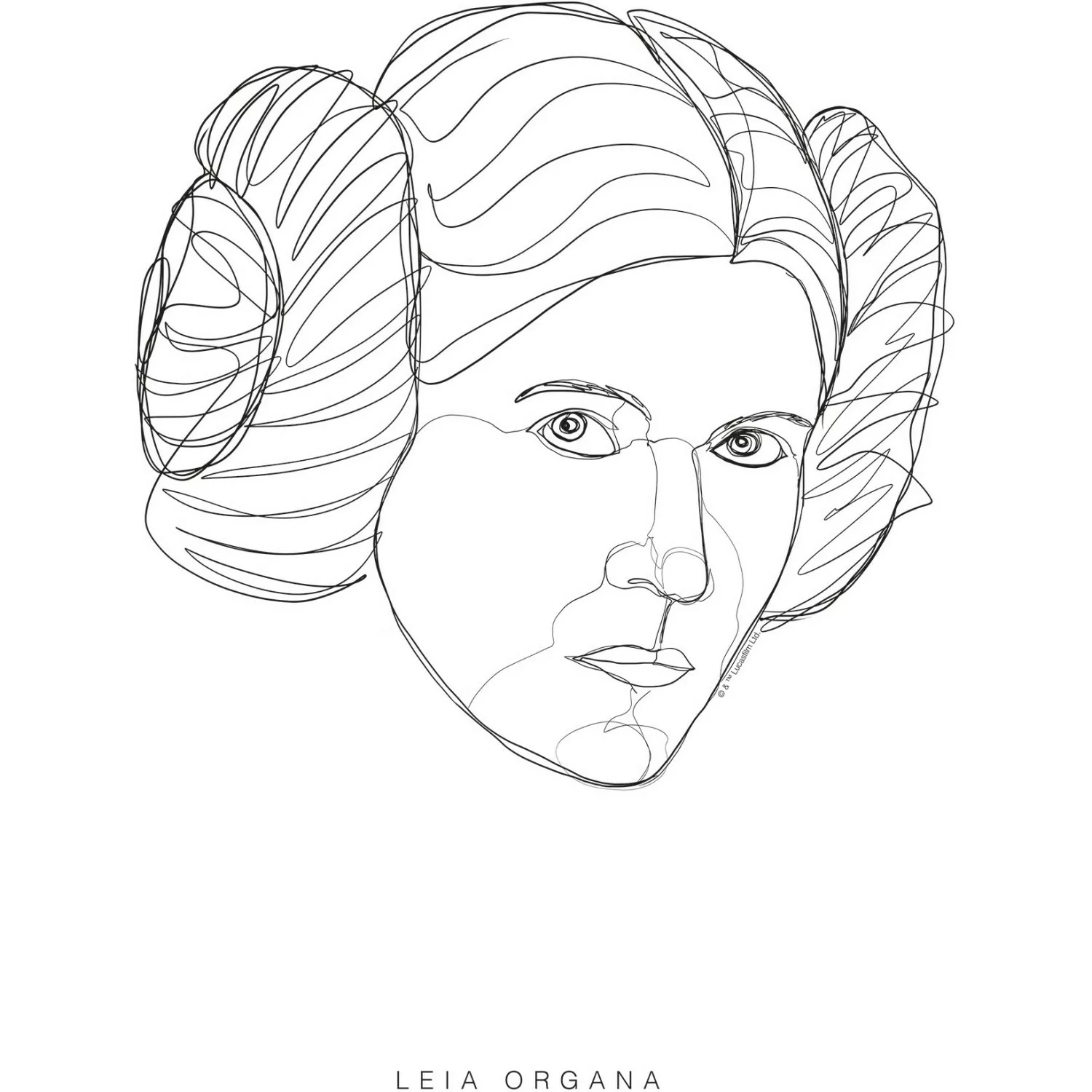 Komar Wandbild Star Wars Leia 30 x 40 cm günstig online kaufen
