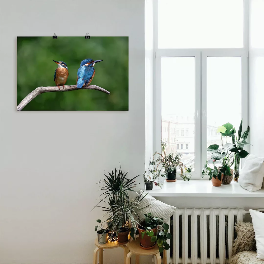 Artland Wandbild "Zwei Eisvogel", Vogelbilder, (1 St.), als Alubild, Outdoo günstig online kaufen