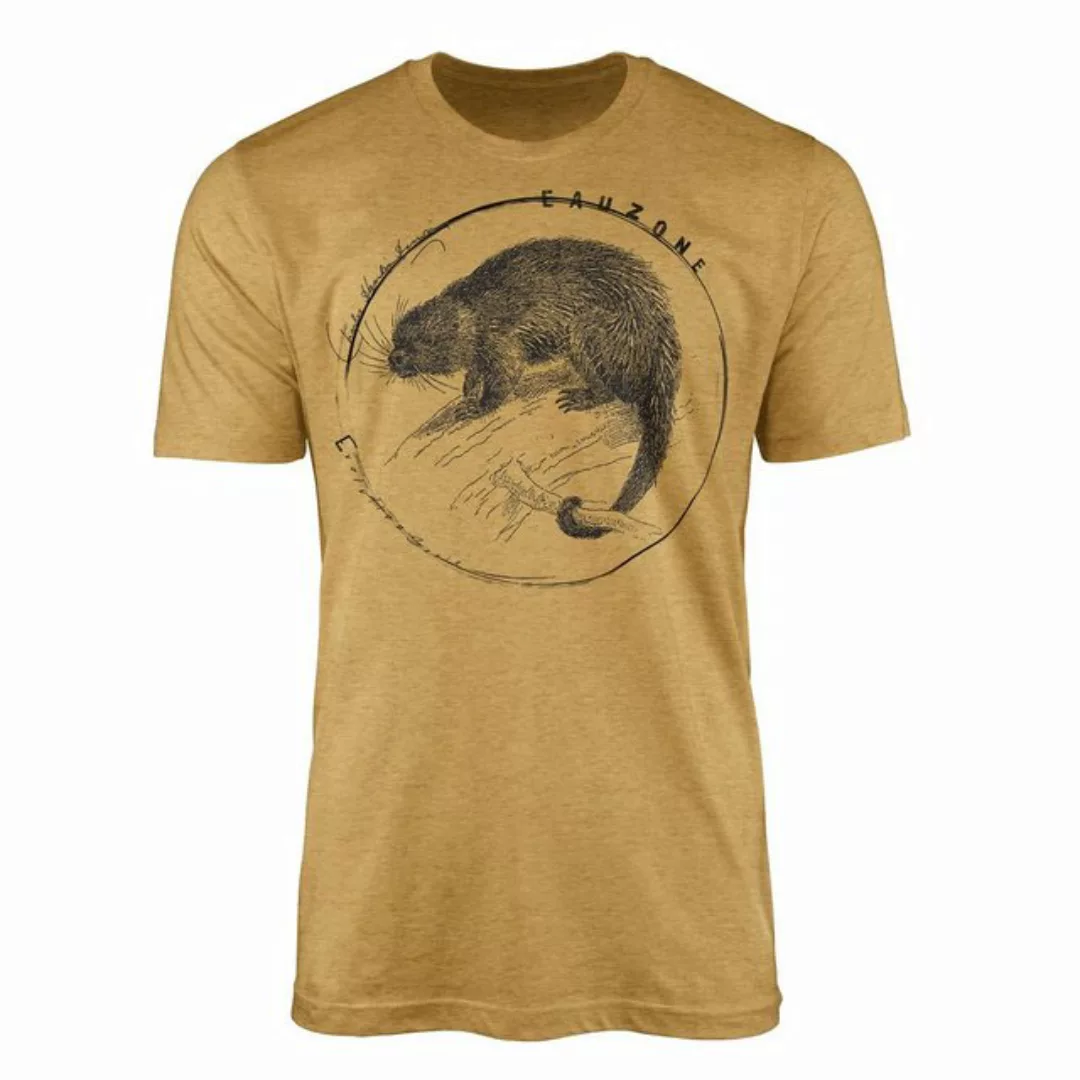 Sinus Art T-Shirt Evolution Herren T-Shirt Stachelschwein günstig online kaufen