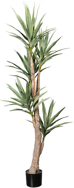 Creativ green Künstliche Zimmerpflanze »Dracaena« günstig online kaufen