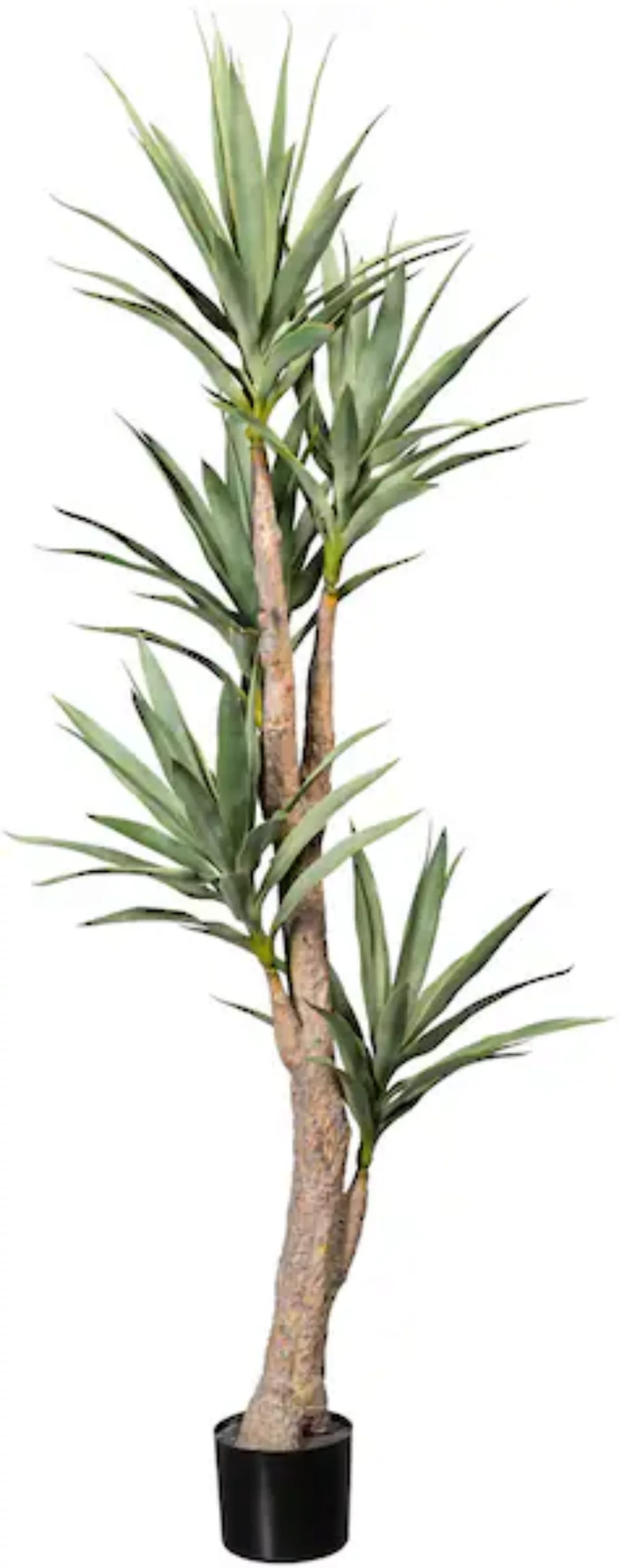 Creativ green Künstliche Zimmerpflanze »Dracaena« günstig online kaufen