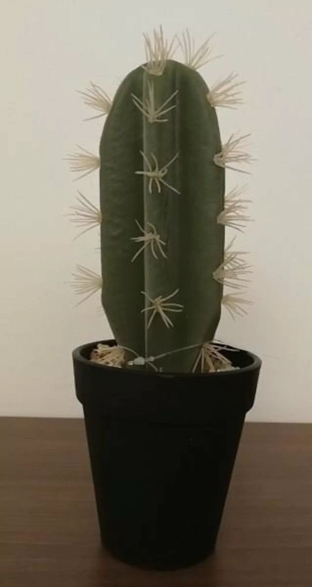 ASA Kunstpflanzen & -blumen Kaktus indische Feige im Topf 26 cm (grün) günstig online kaufen