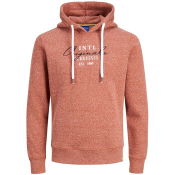 Jack & Jones  Sweatshirt Hoodie Willowbranding Kapuzensweatshirt günstig online kaufen