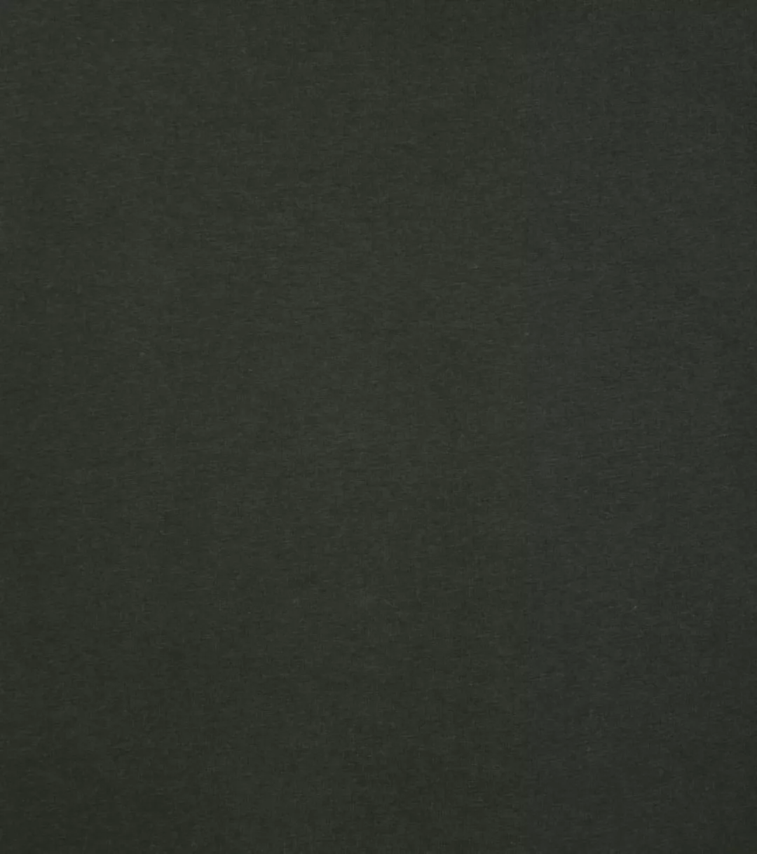 Colorful Standard Organic T-shirt Dunkelgrün - Größe L günstig online kaufen