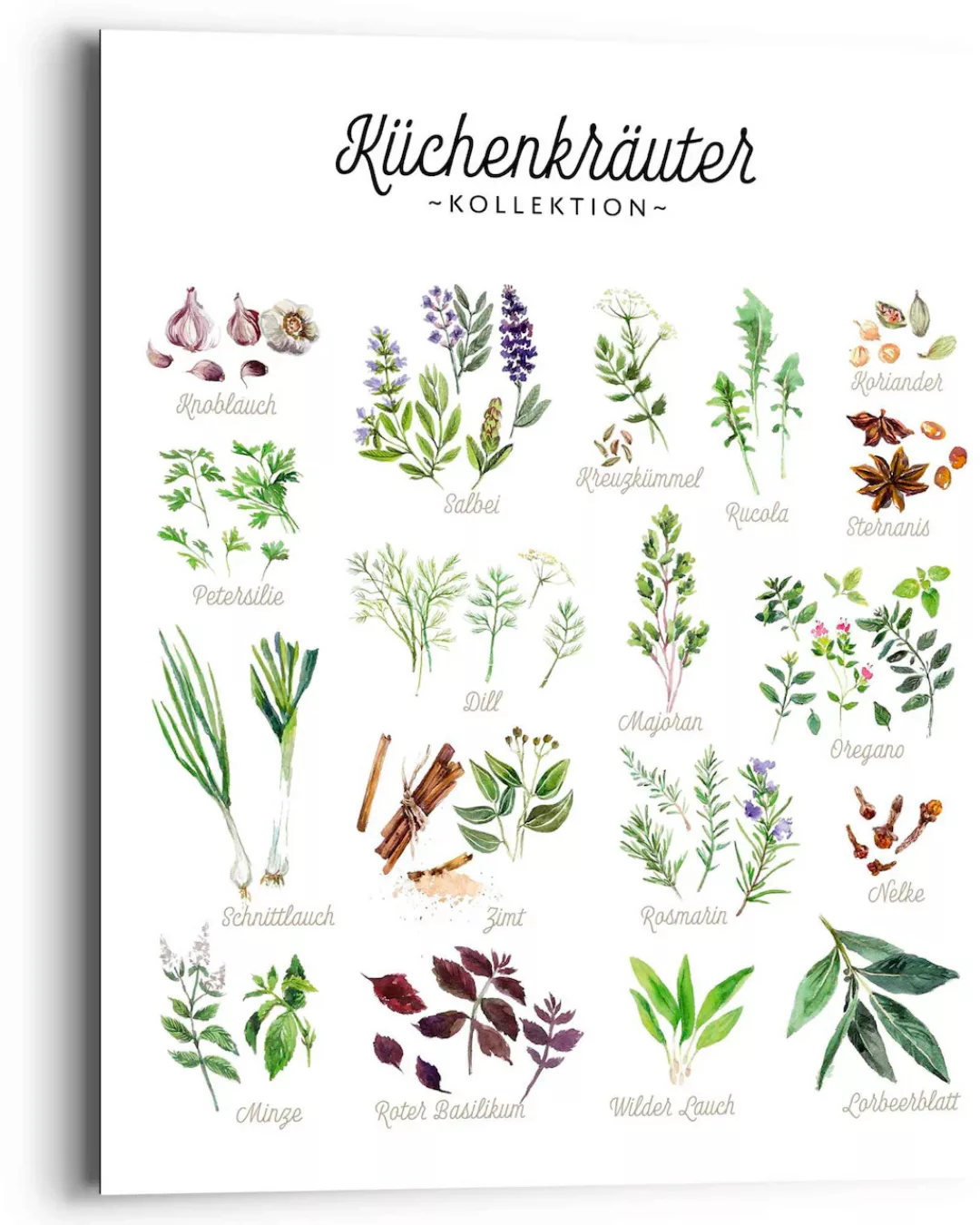 Reinders Deco-Panel "Küchenkräuter" günstig online kaufen