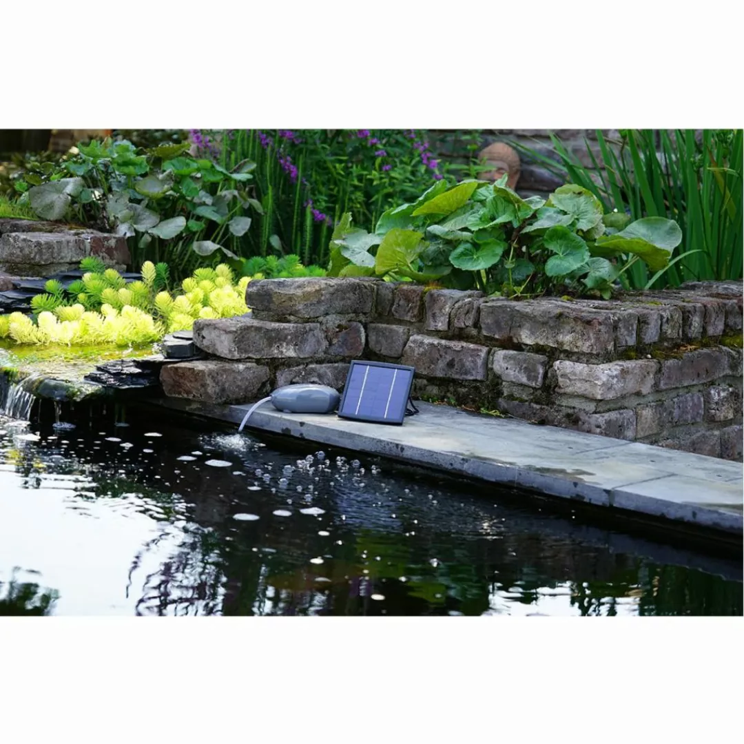 Ubbink Outdoor-belüftungspumpe Air Solar 100 1351374 günstig online kaufen