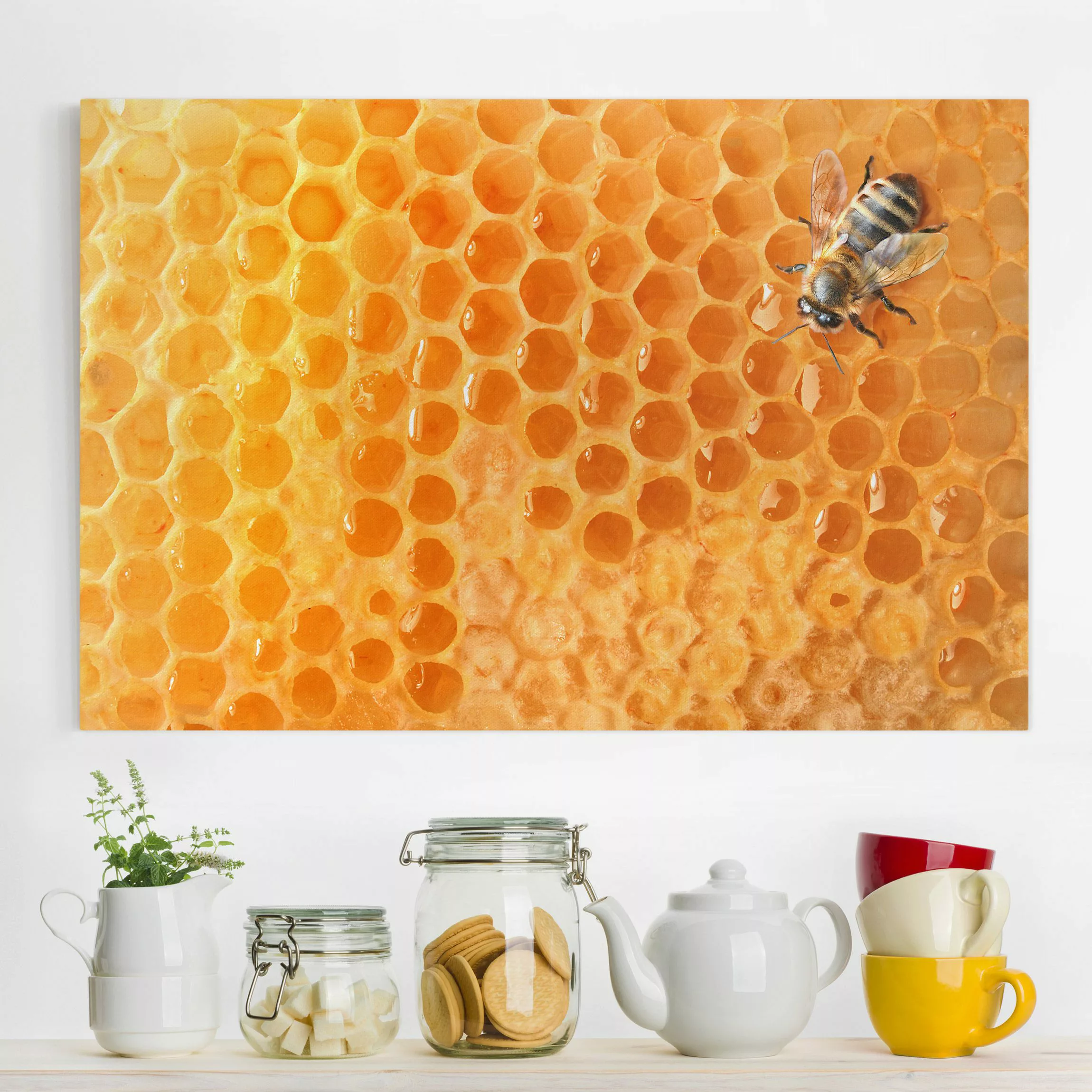 Leinwandbild Tiere - Querformat Honey Bee günstig online kaufen