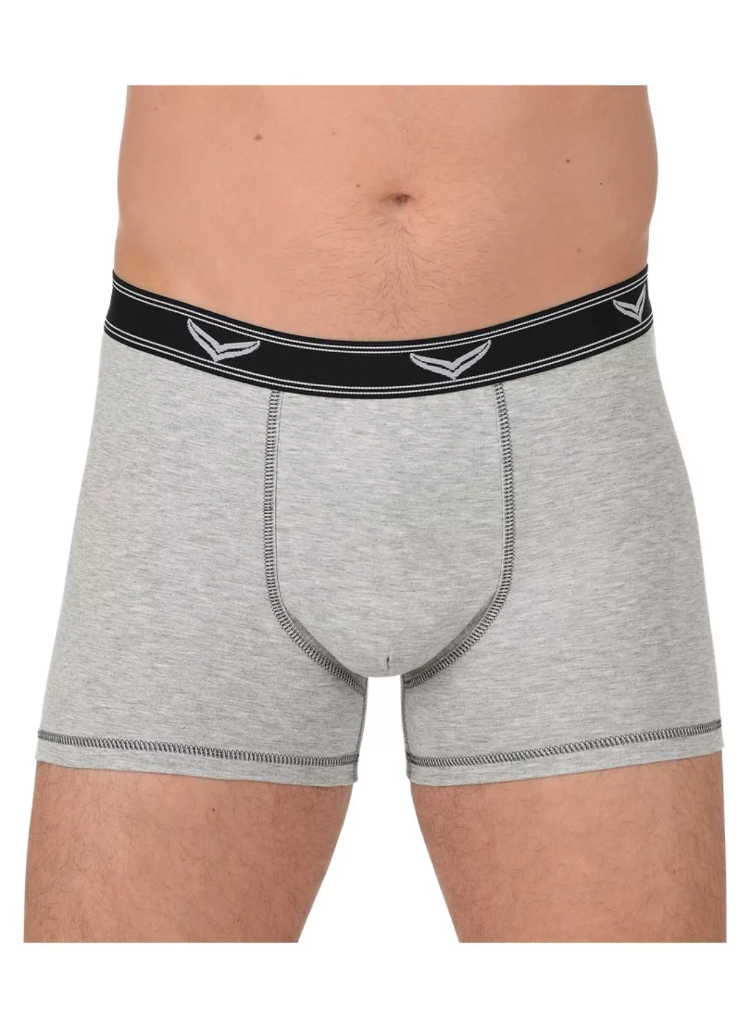 Trigema Boxer "TRIGEMA Bequeme Pants mit Webgummibund", (1 St.) günstig online kaufen