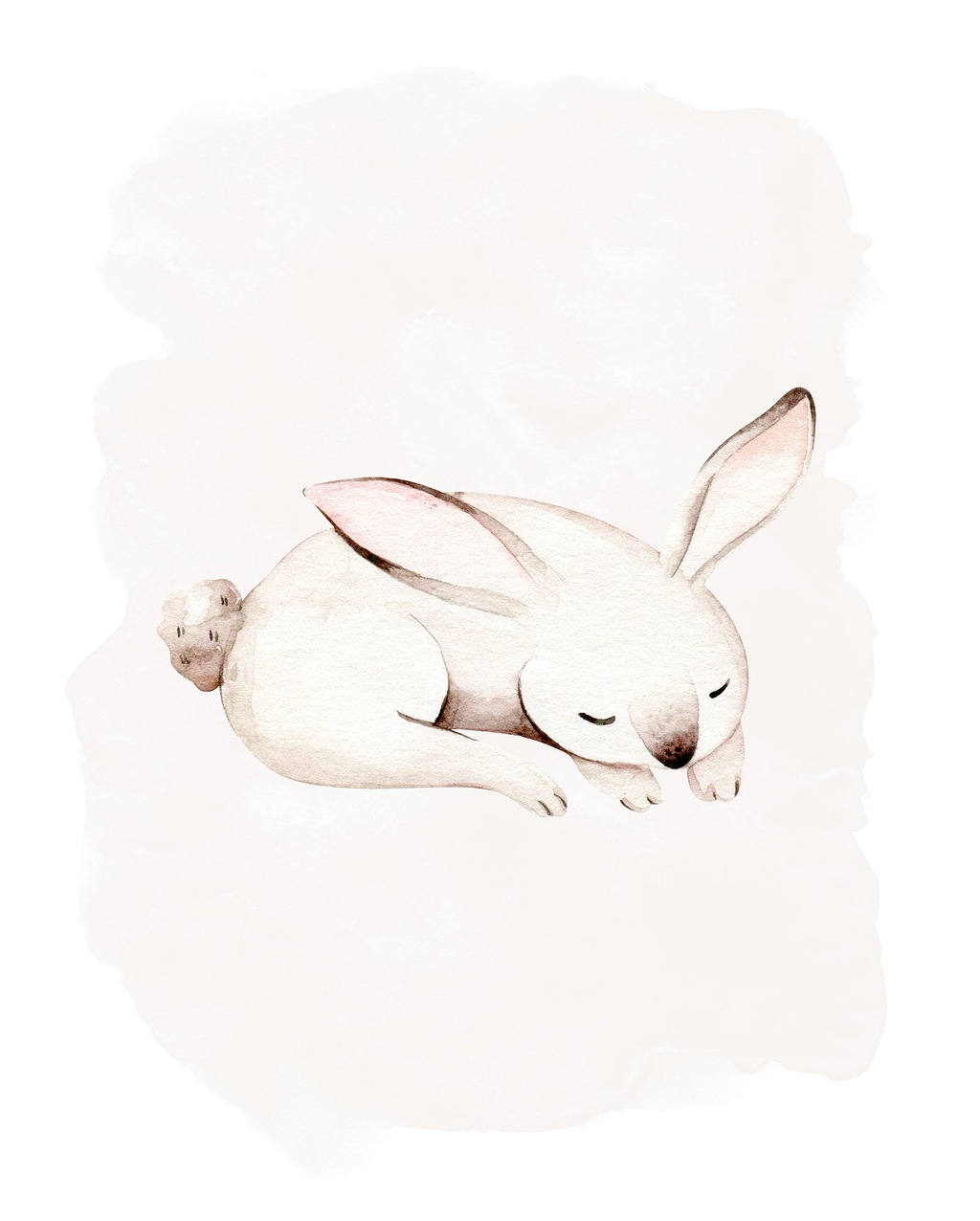 Komar Bild "Sleepy Bunny", Natur, (1 St.), Wandbild zur Dekoration - ohne R günstig online kaufen