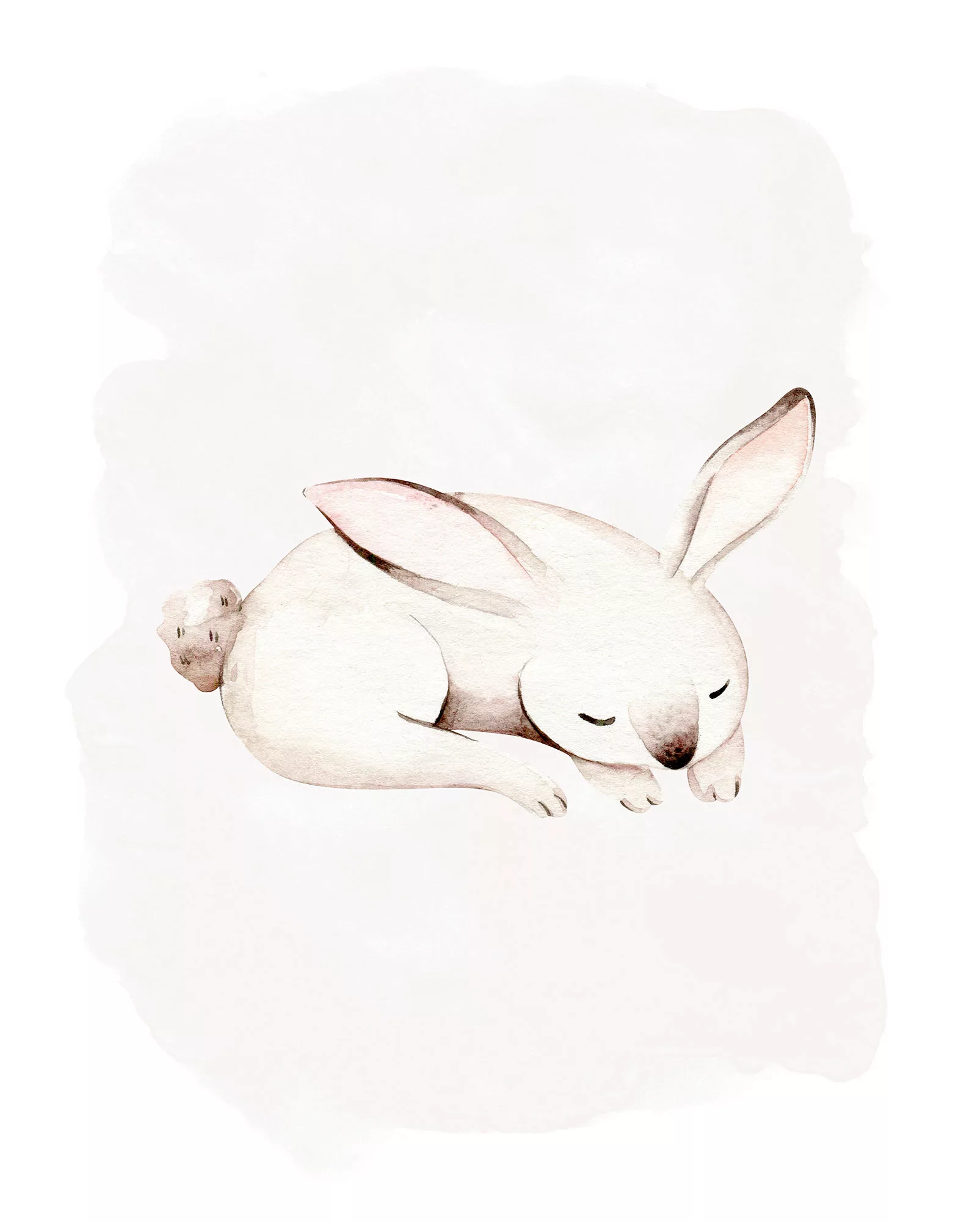 Komar Bild "Sleepy Bunny", Natur, (1 St.), Wandbild zur Dekoration - ohne R günstig online kaufen