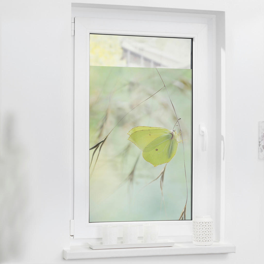 LICHTBLICK Fensterfolie Schmetterling Schmetterling Schmetterling grün B/L: günstig online kaufen