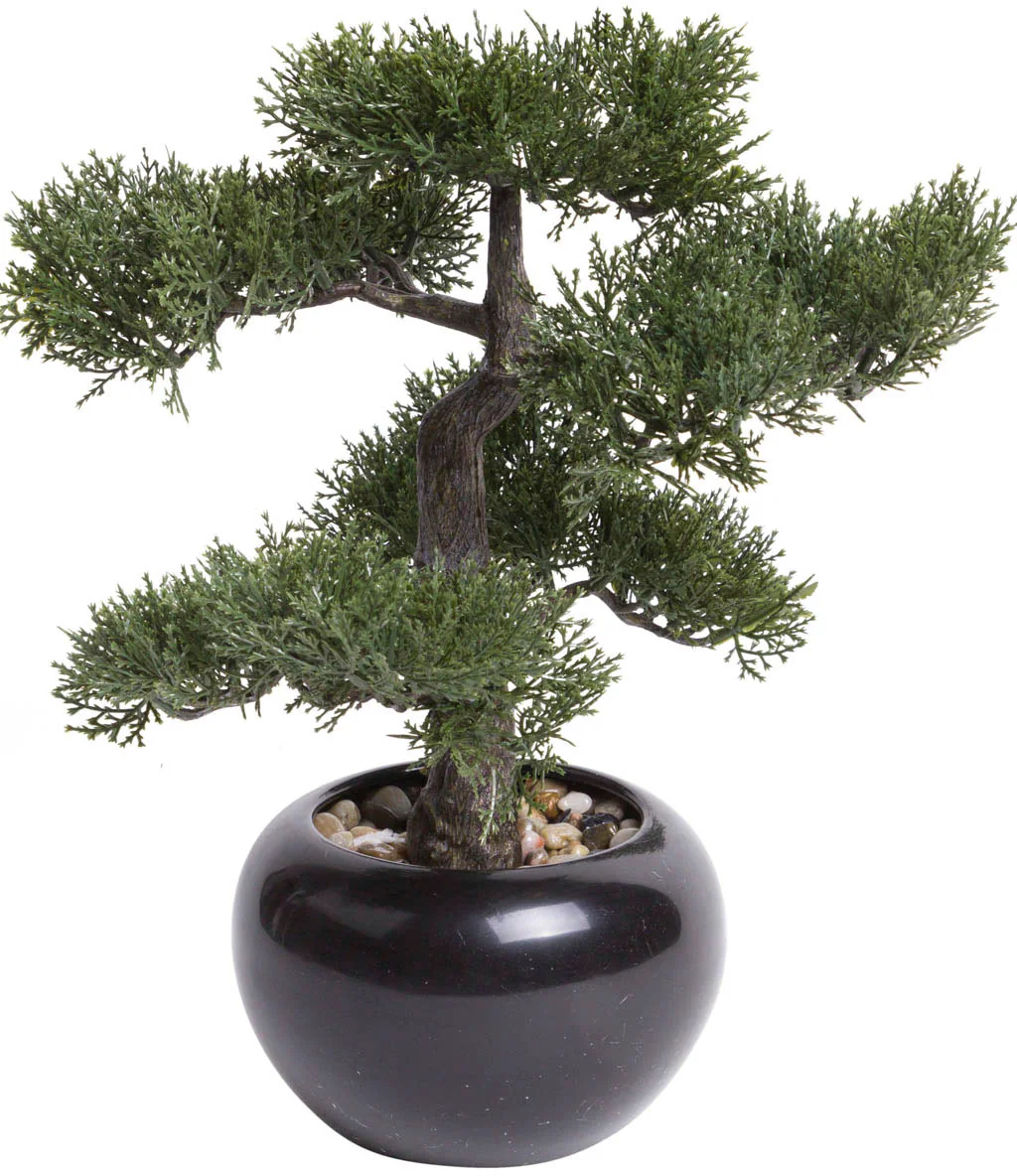 Botanic-Haus Kunstbonsai "Ceder Bonsai" günstig online kaufen