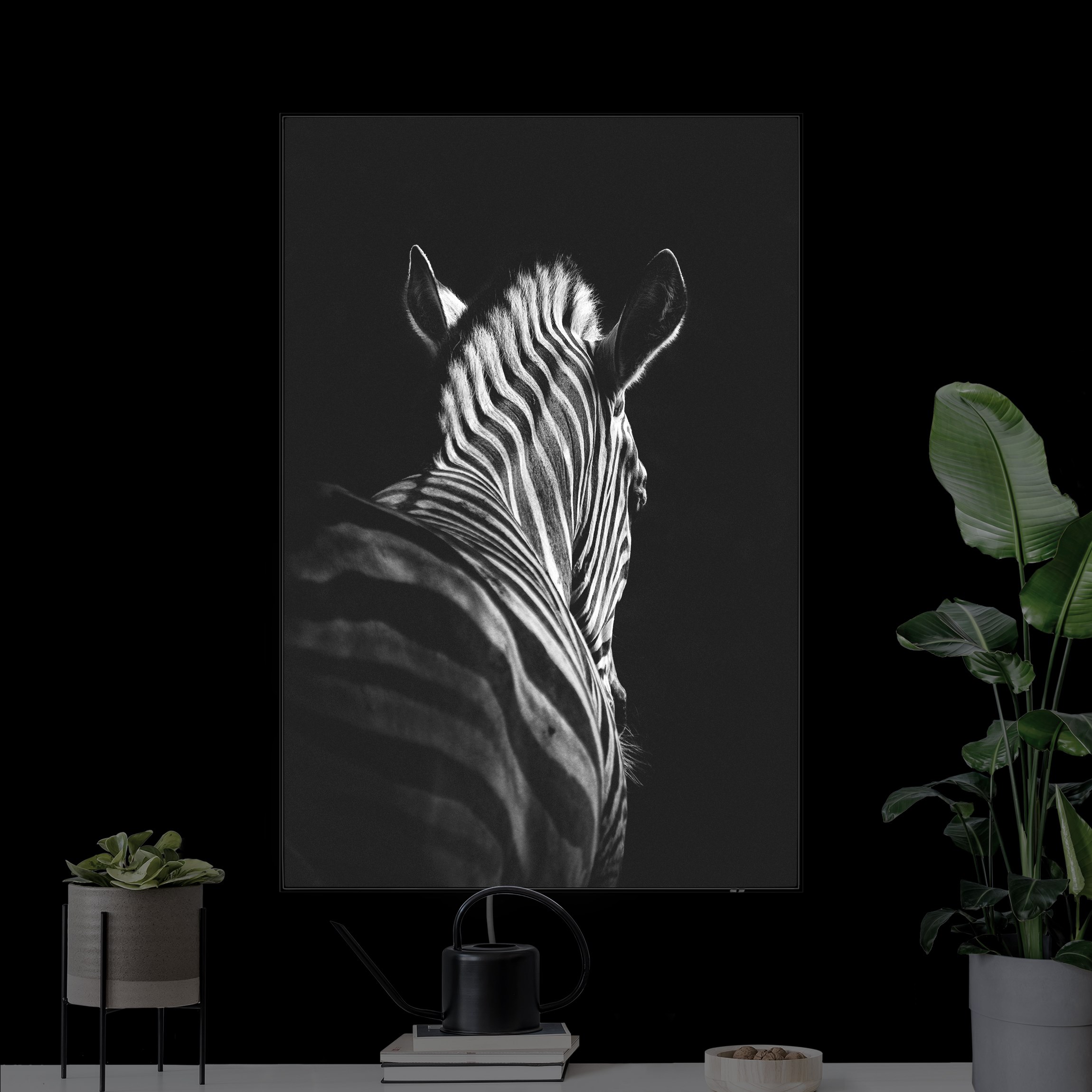 LED-Wechselbild Dunkle Zebra Silhouette günstig online kaufen