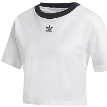 adidas  T-Shirt Crop Top günstig online kaufen