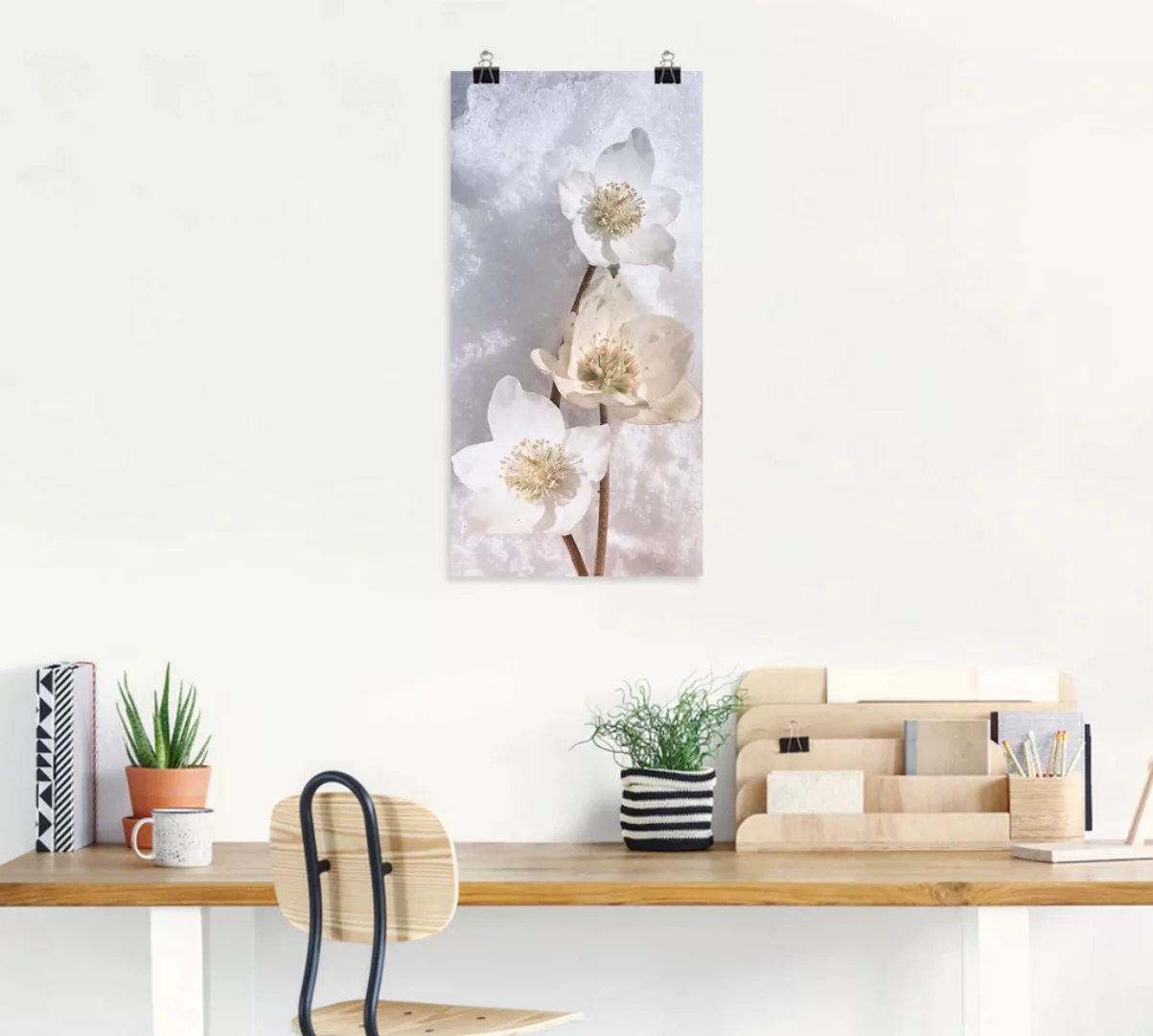 Artland Wandbild »Christrose im Schnee«, Blumen, (1 St.) günstig online kaufen