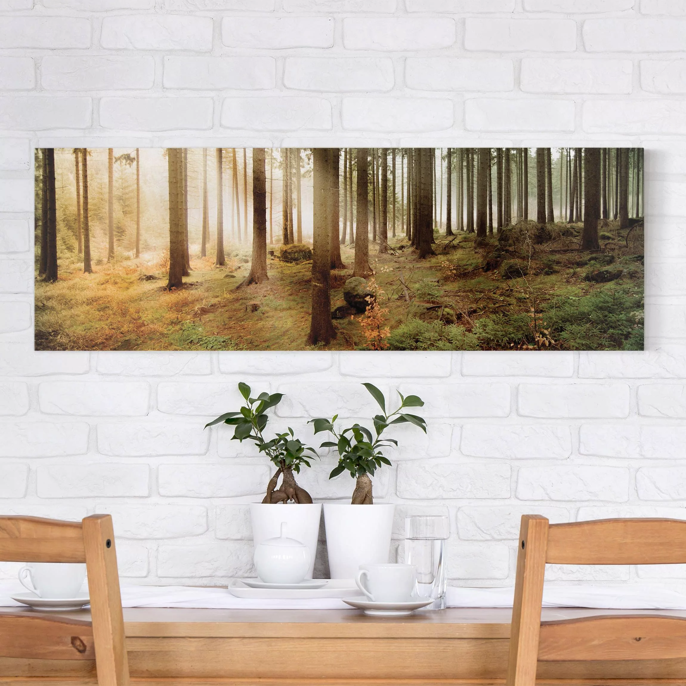 Leinwandbild Wald - Panorama Morning Forest günstig online kaufen
