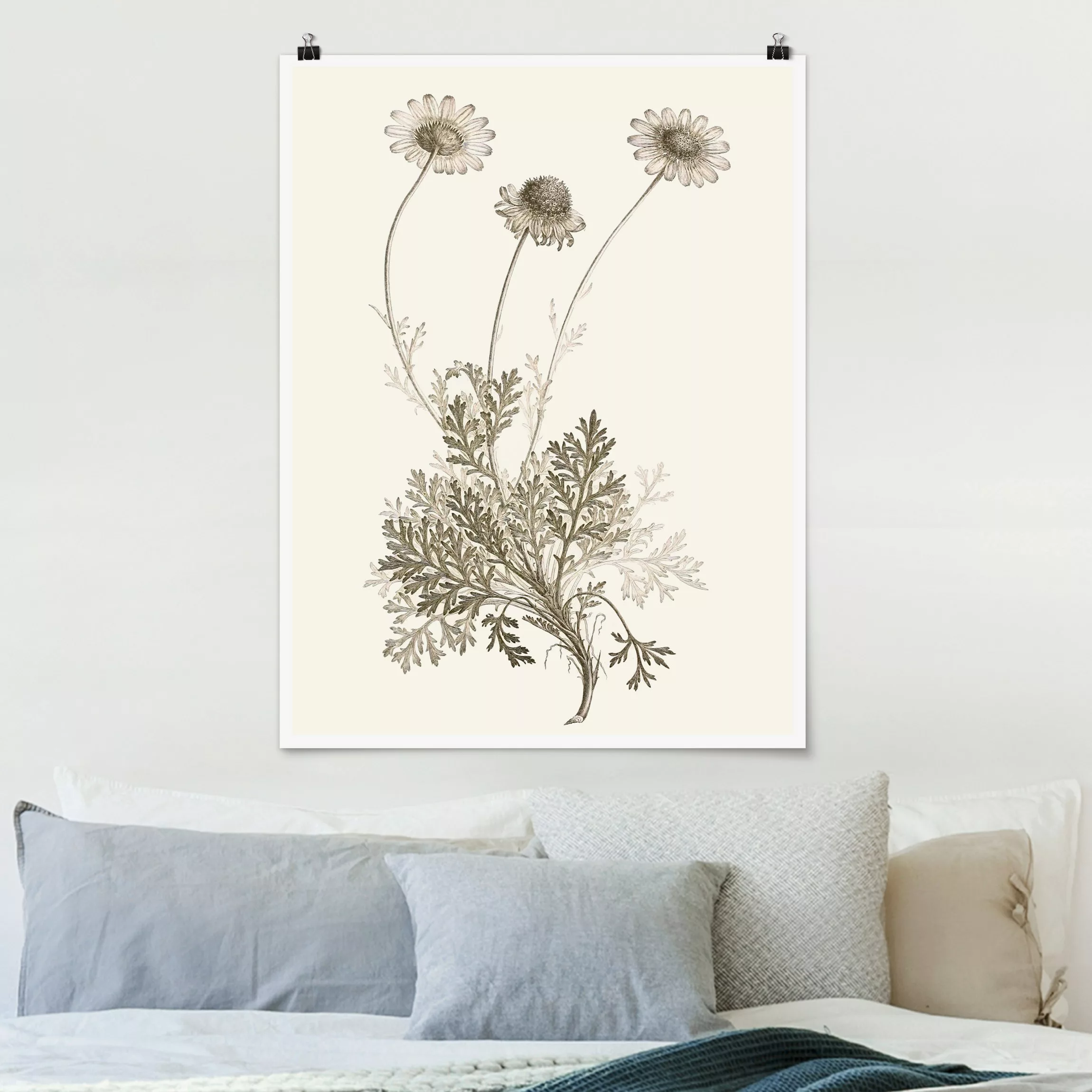 Poster Botanische Studie in Sepia III günstig online kaufen