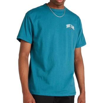Tommy Hilfiger  T-Shirts & Poloshirts DM0DM18665 günstig online kaufen