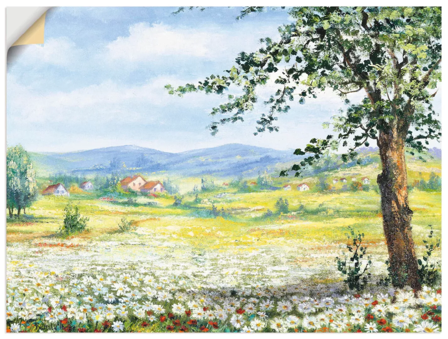 Artland Wandbild "Margeritenfeld", Wiesen & Bäume, (1 St.), als Poster, Wan günstig online kaufen