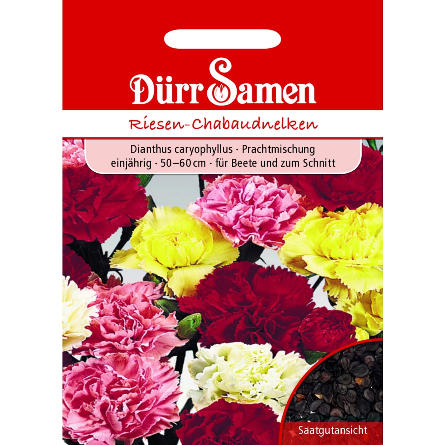 Dürr Samen Gartennelke Prachtmischung Chabaud Einjährig Saatgut günstig online kaufen