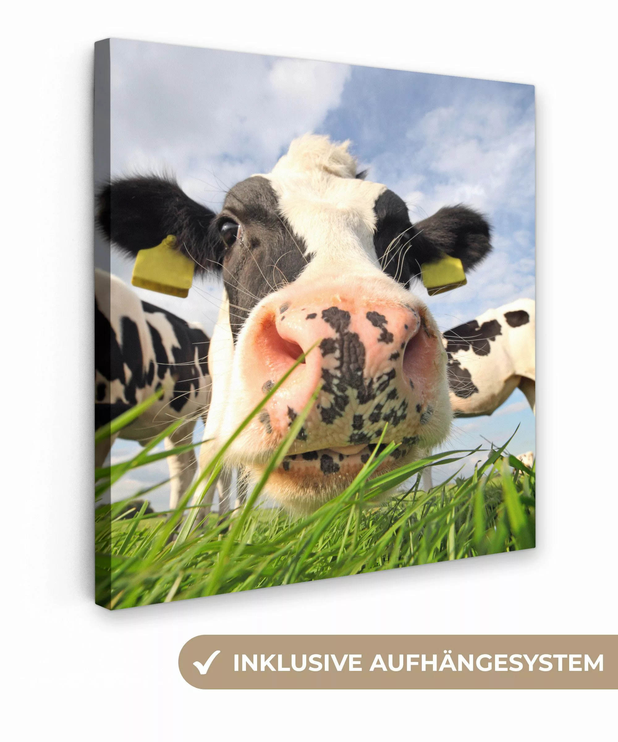 OneMillionCanvasses® Leinwandbild Kuh - Bauernhof - günstig online kaufen