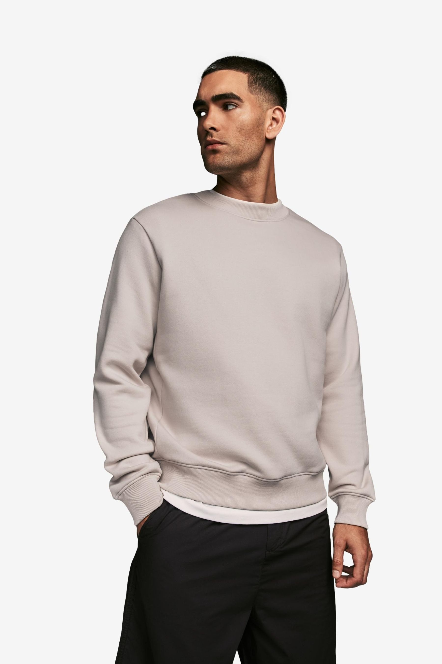 Next Sweatshirt Premium Jersey-Pullover – Rundhalspullover günstig online kaufen