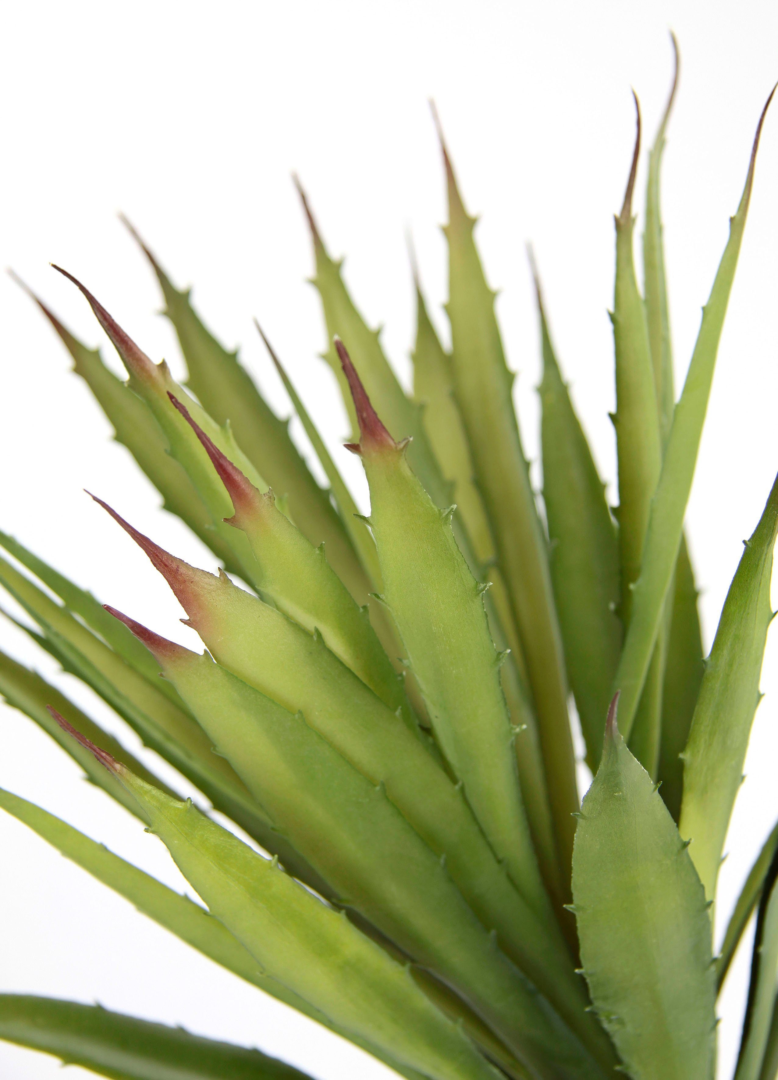 Kunstpflanze Künstliche Agave Aloe Vera im günstig online kaufen