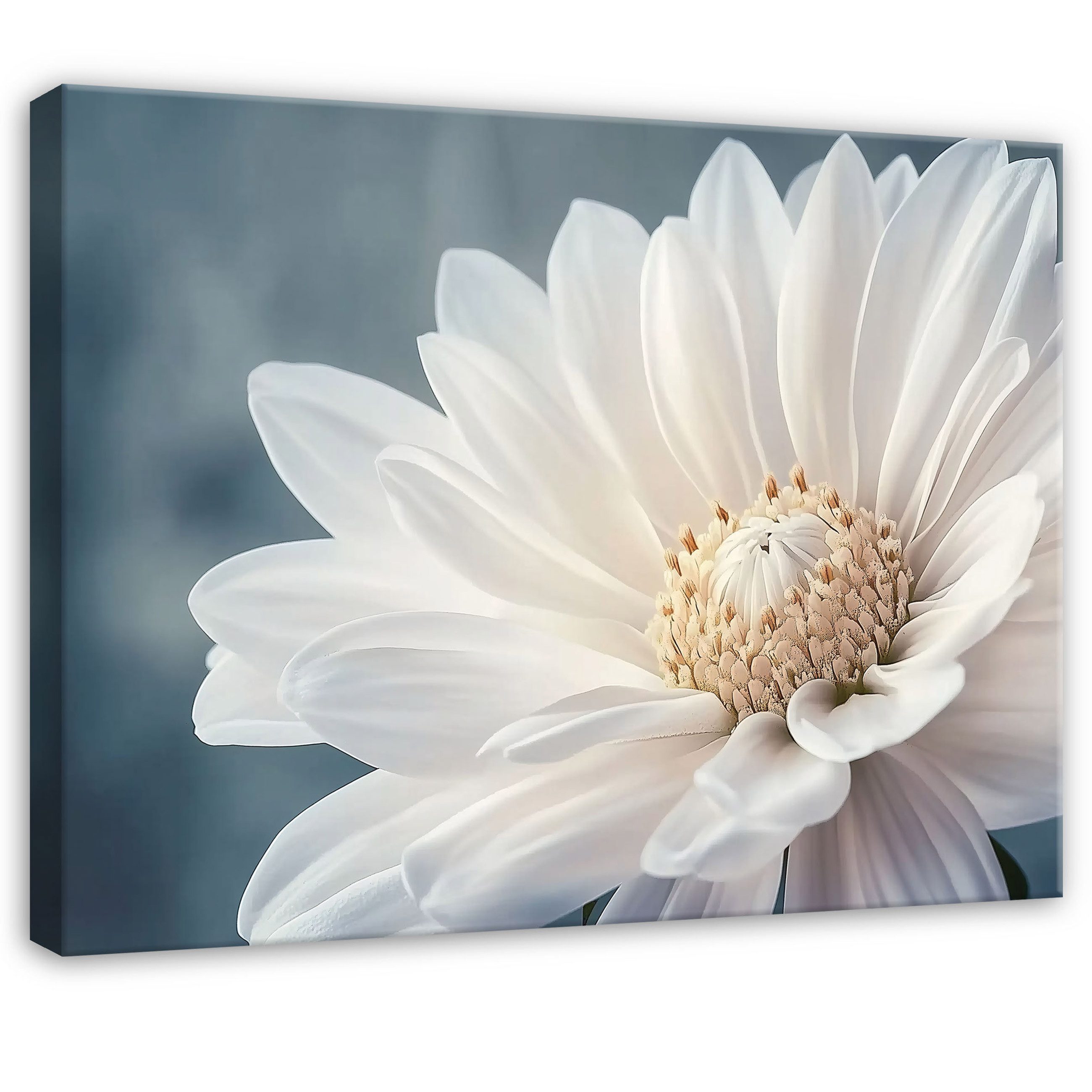 Wallarena Leinwandbild Blume Weiß Blau Modern günstig online kaufen