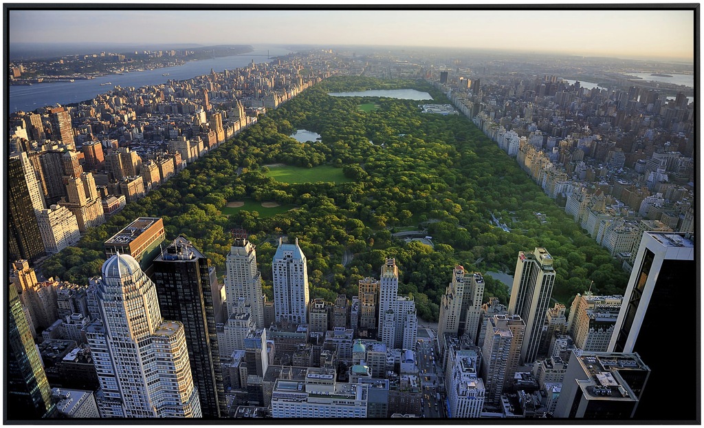 Papermoon Infrarotheizung »Blick auf den Central Park«, sehr angenehme Stra günstig online kaufen