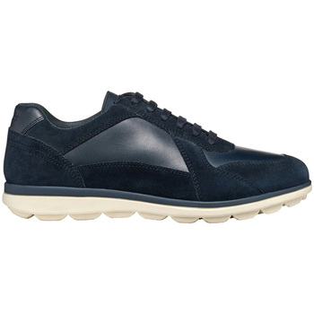 Geox  Sneaker U Spherica EC12 sneaker günstig online kaufen