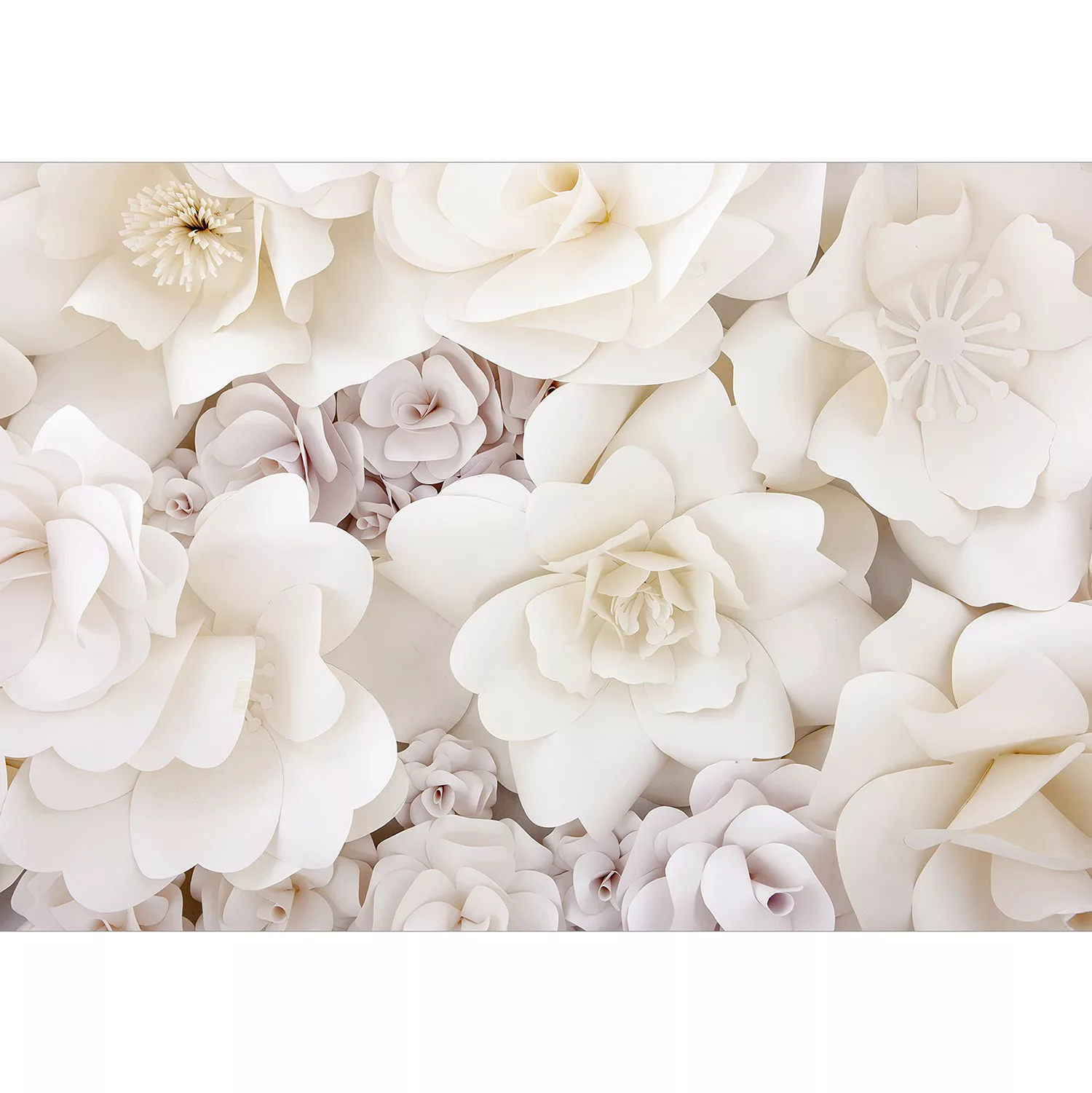 Fototapete - Floral Display günstig online kaufen