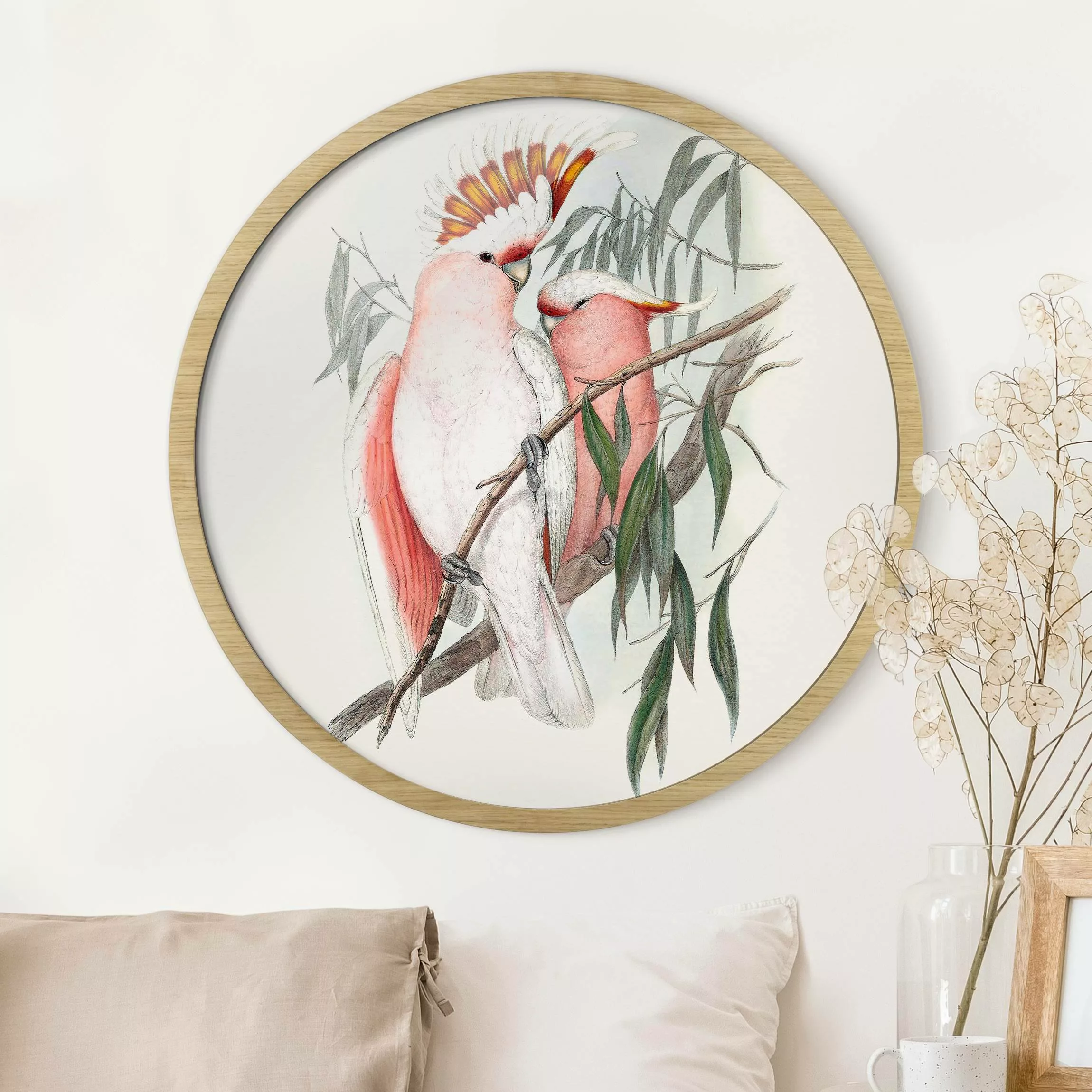 Rundes Gerahmtes Bild Pastell Papageien I günstig online kaufen