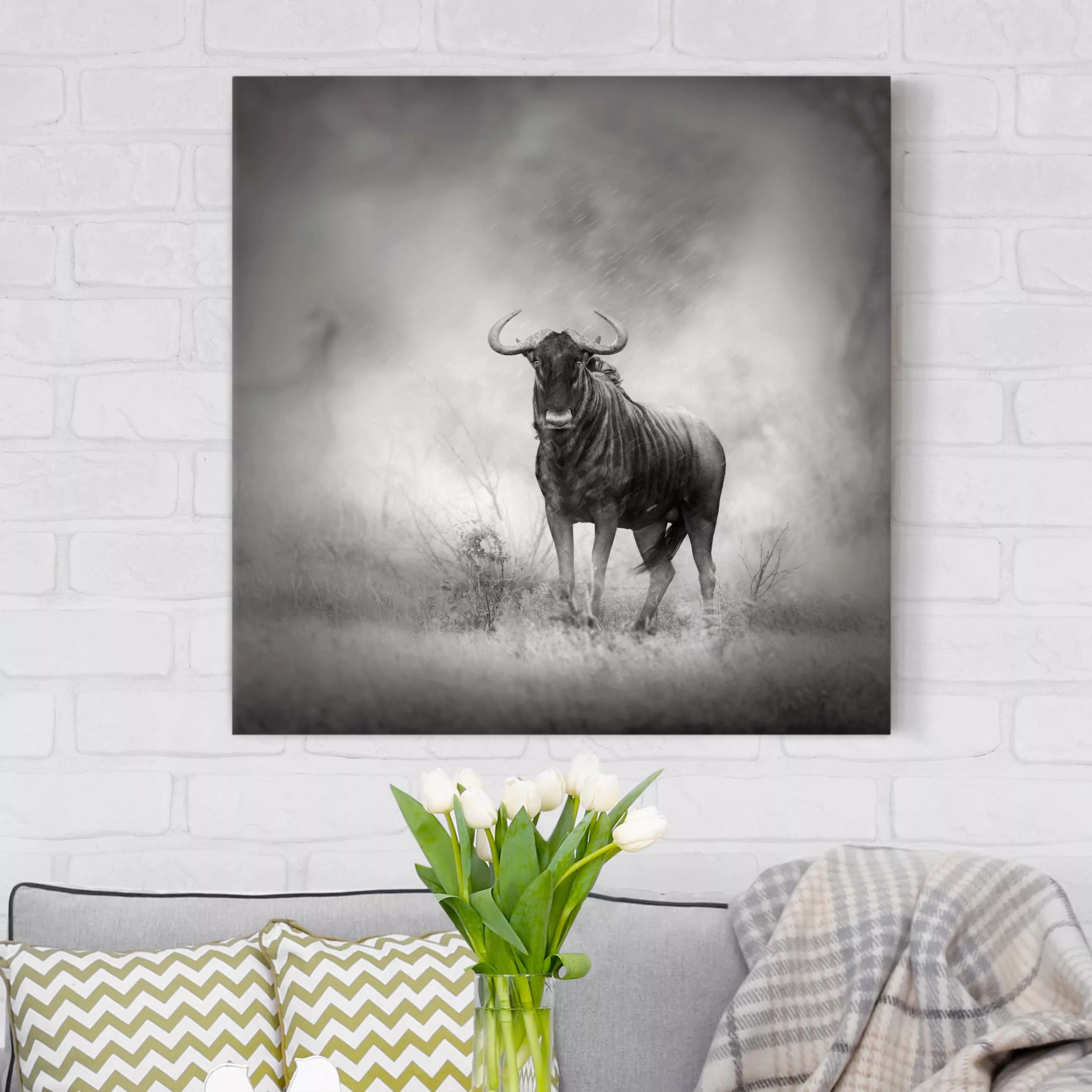 Leinwandbild Tiere - Quadrat Staring Wildebeest günstig online kaufen