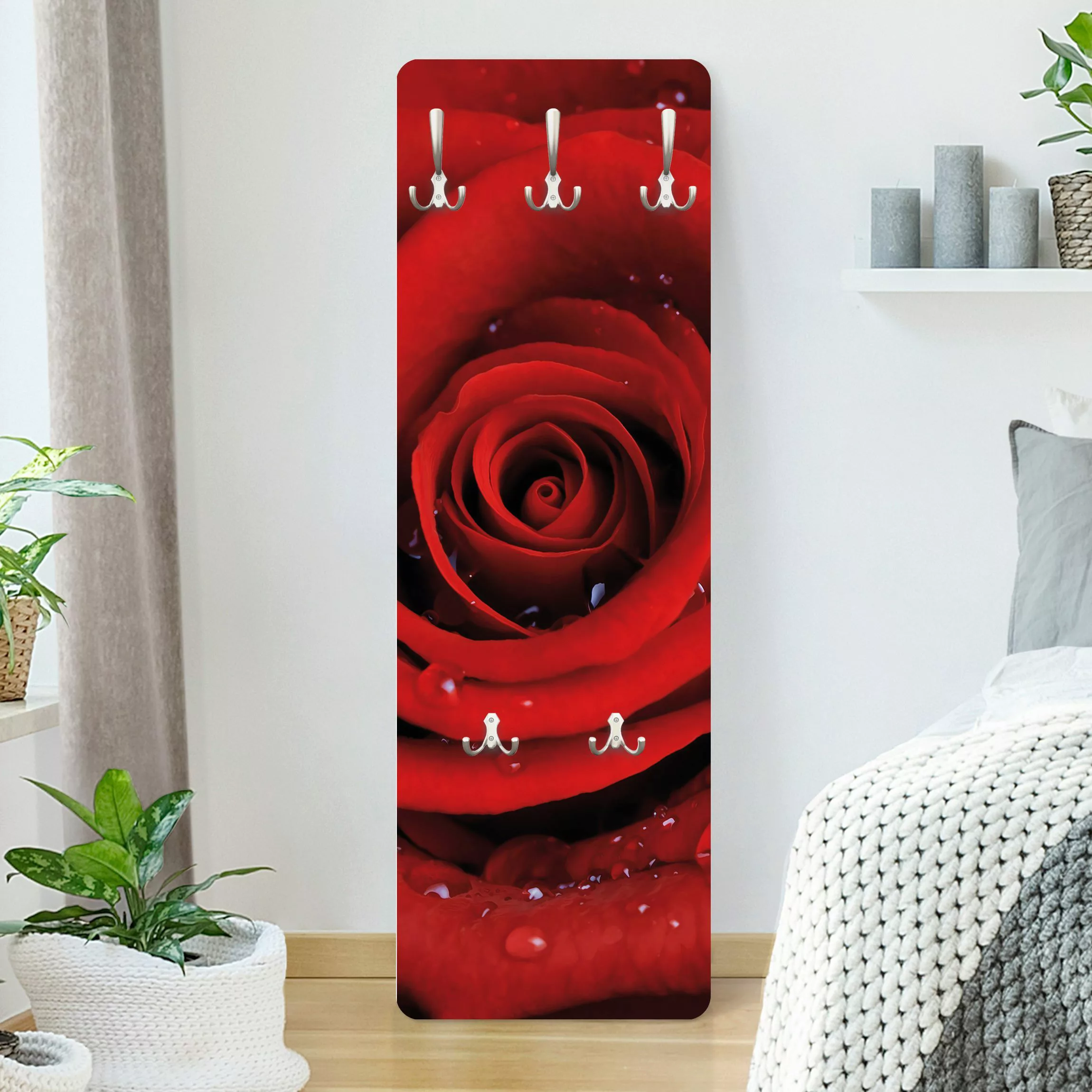 Wandgarderobe Holzpaneel Blumen Rote Rose mit Wassertropfen günstig online kaufen