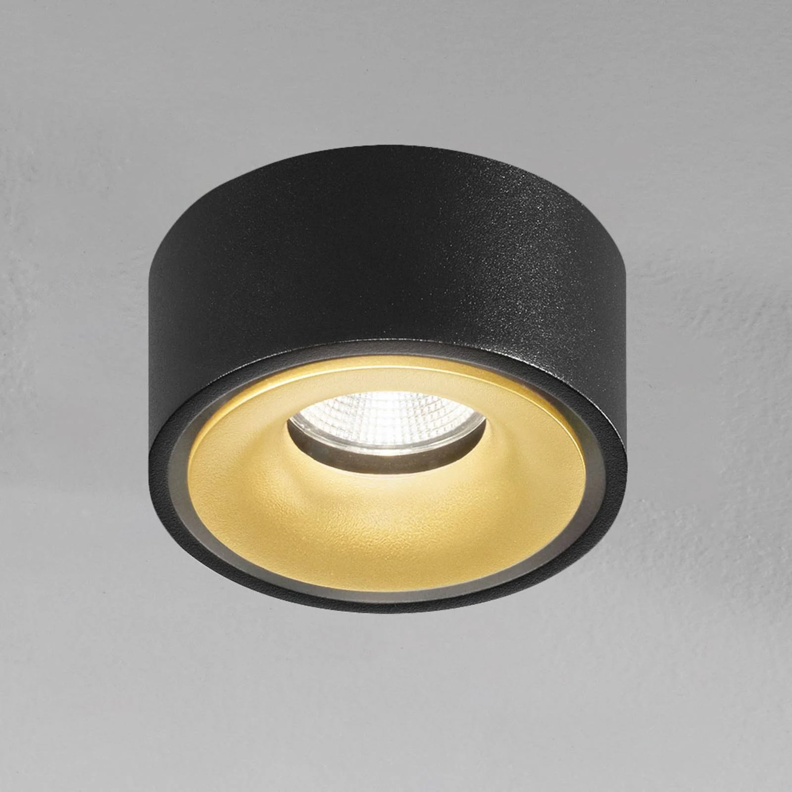 Egger DLS LED-Spot Clippo EP, schwarz-gold, 2.700K günstig online kaufen